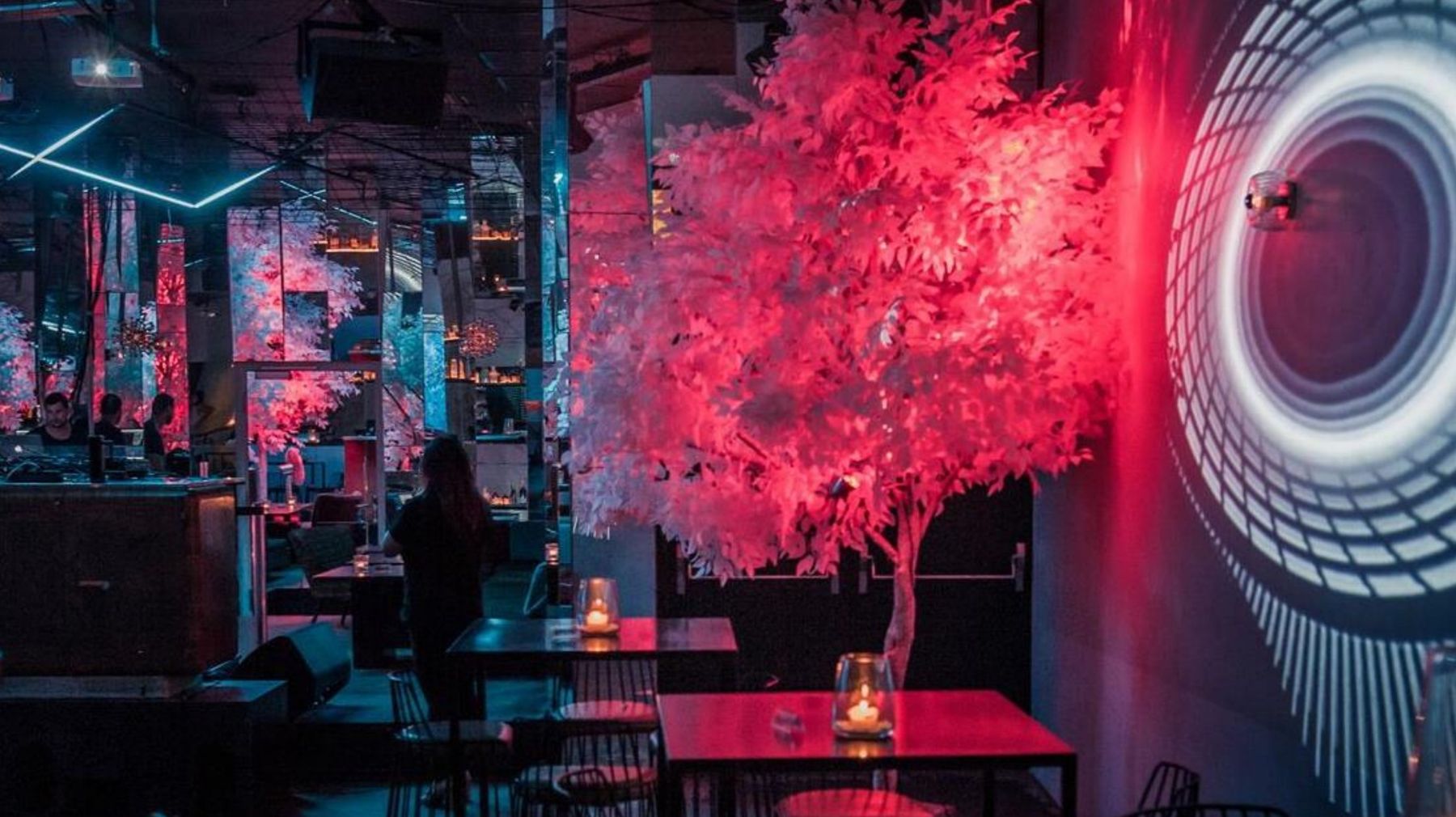 Baby Boa, Geneva: glowing pink tree in the club
